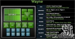 Details zu "Wayne"