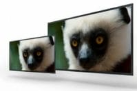 4K OLED Bildschirme