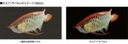 Sharp Moth Eye Technologie