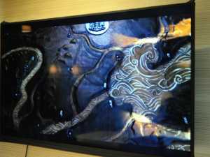 Marco Polo auf einem Sony 4K TV (Foto: golem.de/Nico Ernst)