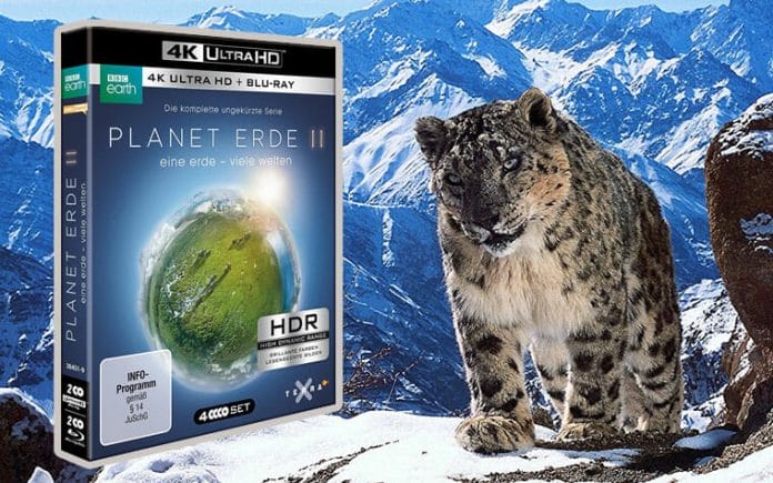 Planet Erde 2 auf 4K Blu-ray