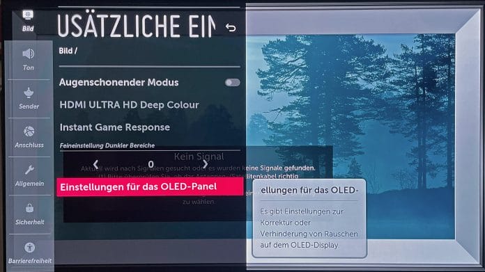 Feineinstellung dunkler Bildbereiche bei Gaming-Signalquellen am LG E9 OLED TV (2019)