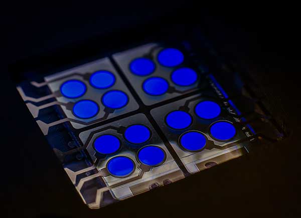 Eine Platine mit dem von Cynroa entwickelten cyBlueBooster OLED-Material