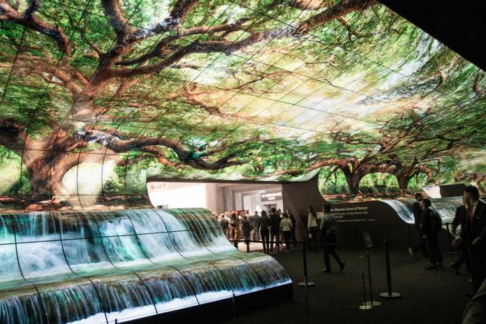 Auf der IFA 2019 zeigte LG noch seinen beeindruckenden OLED-Wasserfall.